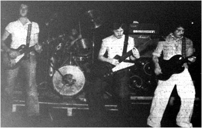 Willow at Tamworth Arts Centre 1977